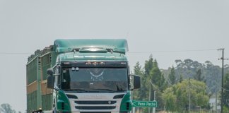 pony-2025-05 - pony_nadwozie wymienne_16_1 - Werka.jpg