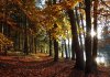 Werka - studia projektowanie terenów zieleni (4).jpg