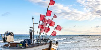 michalina-apartamenty-bryza.pl - Nietypowe noclegi w Świnoujściu.jpg