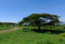 deluxetravelclub_luksusowe wakacje w Kenii-9_7.jpg