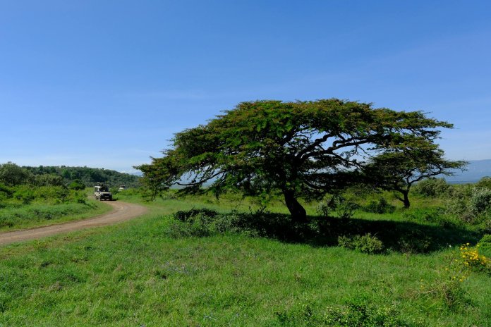 deluxetravelclub_luksusowe wakacje w Kenii-9_7.jpg